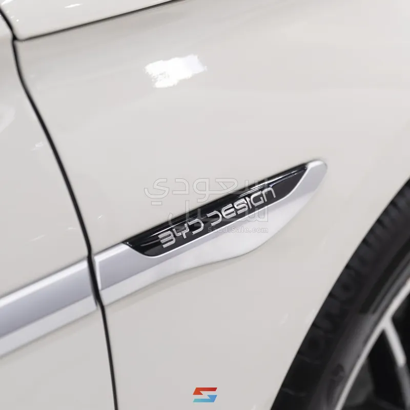 2025 بي واي دي سيل