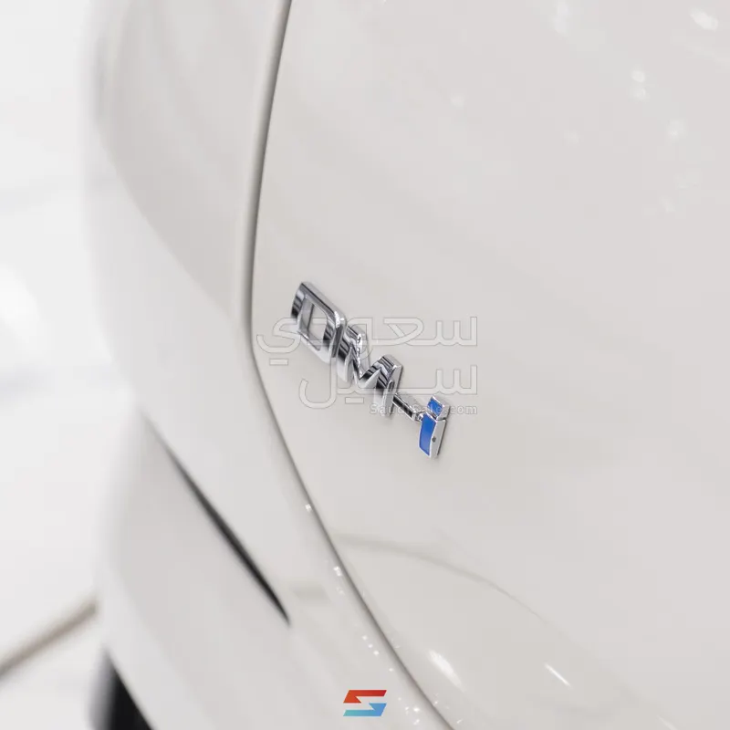 2025 بي واي دي سيل