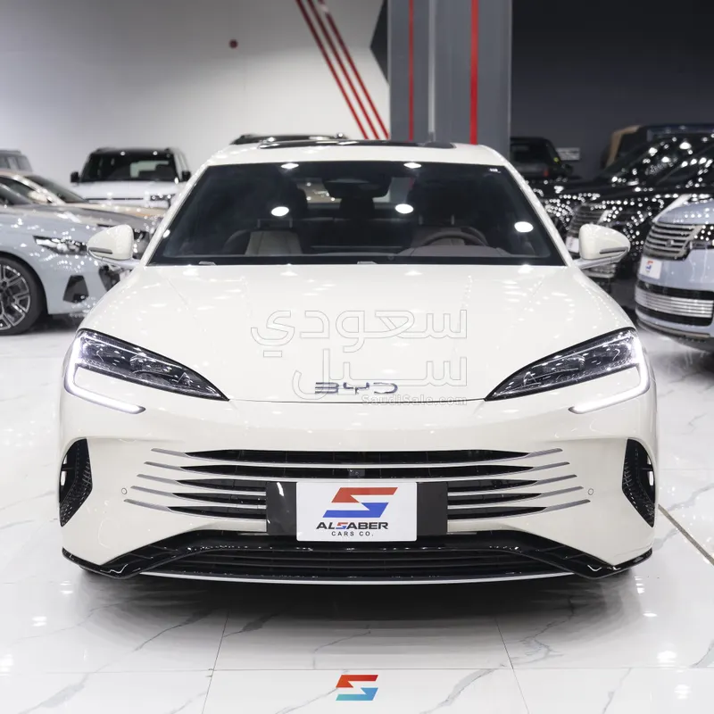 2025 بي واي دي سيل