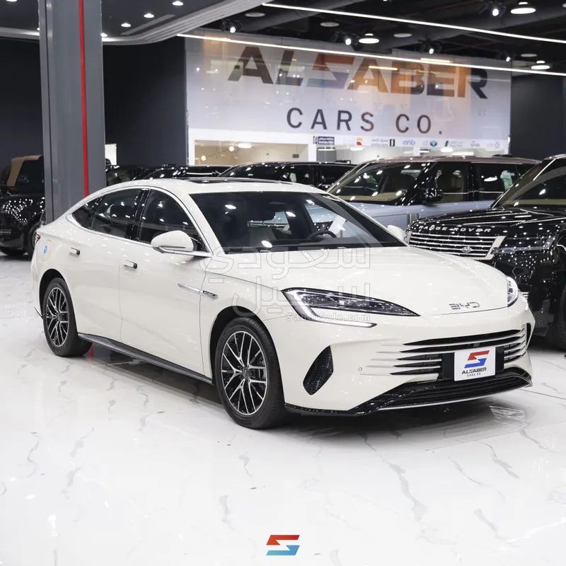 2025 بي واي دي سيل