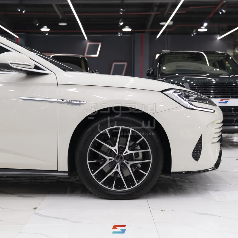 2025 بي واي دي سيل