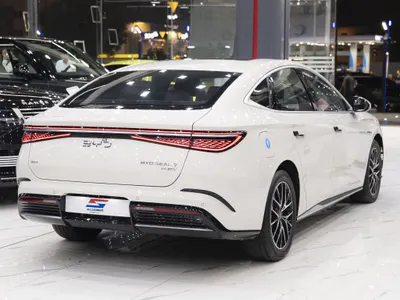 2025 بي واي دي سيل