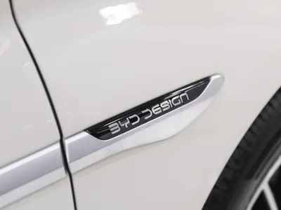 2025 بي واي دي سيل