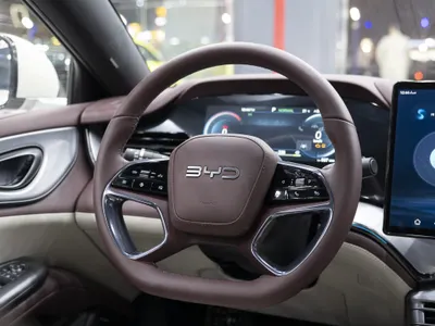 2025 بي واي دي سيل