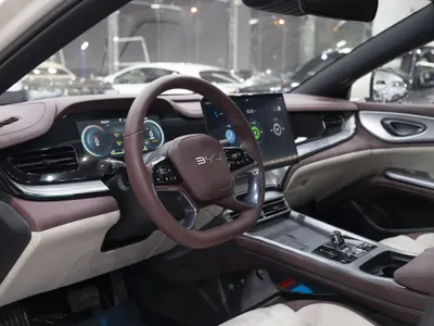 2025 بي واي دي سيل