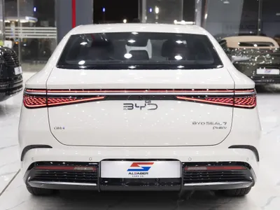 2025 بي واي دي سيل