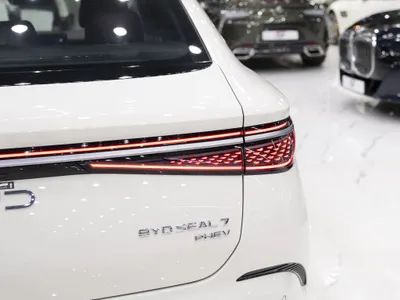 2025 بي واي دي سيل