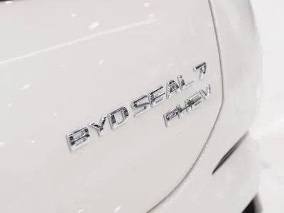 2025 بي واي دي سيل