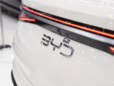 2025 بي واي دي سيل