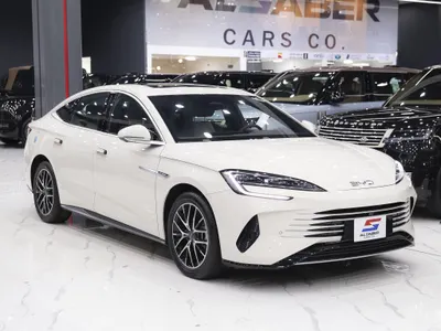 2025 بي واي دي سيل