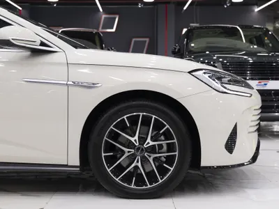 2025 بي واي دي سيل