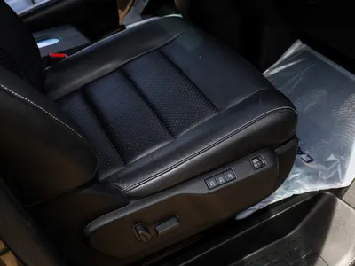 2024 بيجو ترافلر