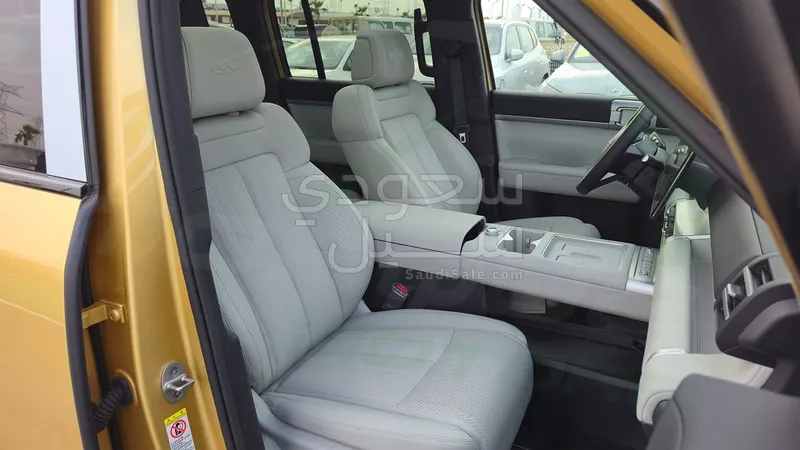 2025 بي واي دي اس 7