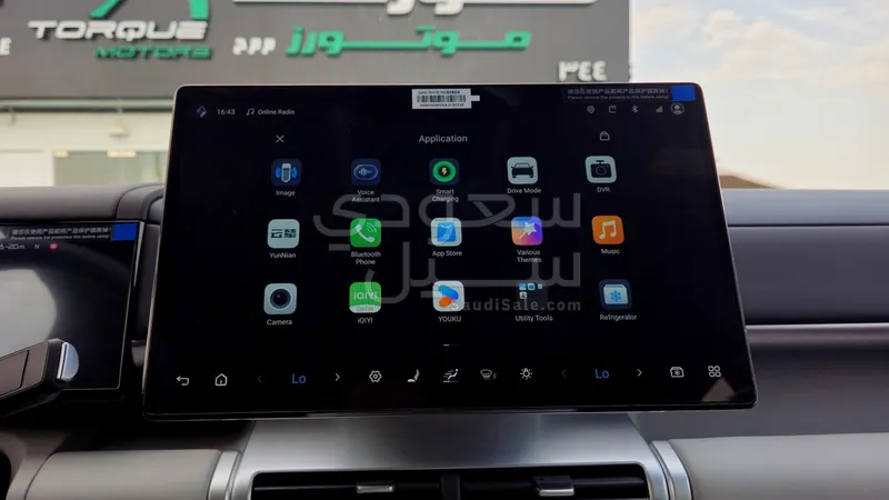 2025 بي واي دي اس 7