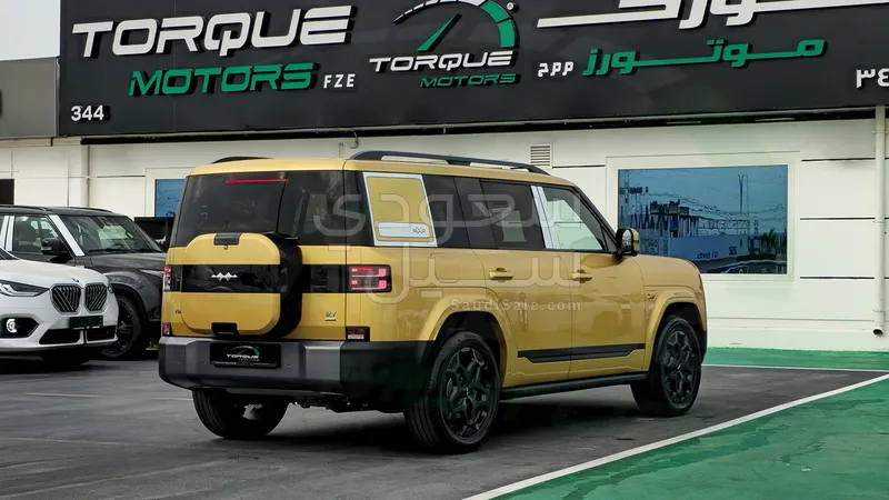 2025 بي واي دي اس 7