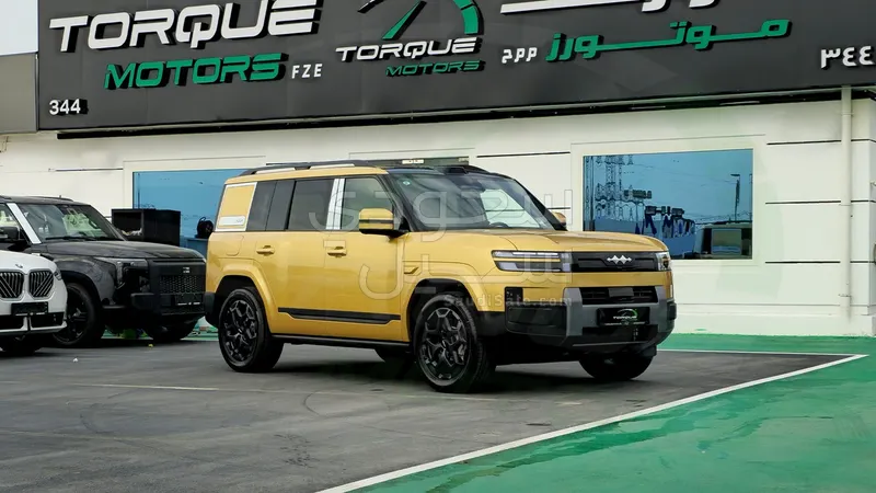 2025 بي واي دي اس 7