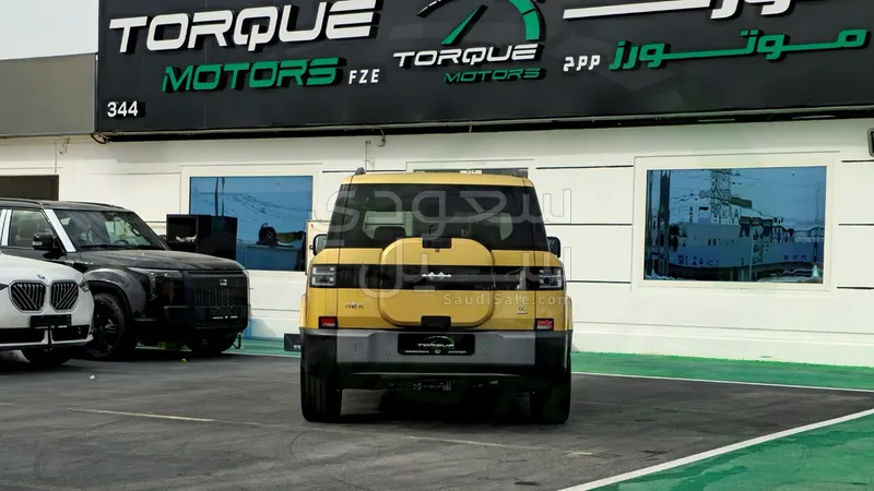 2025 بي واي دي اس 7