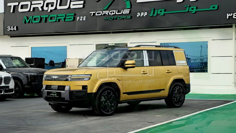 2025 بي واي دي اس 7