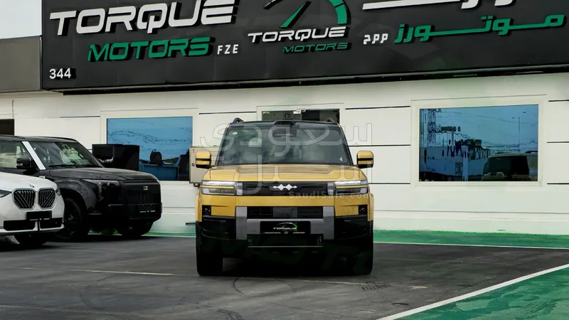 2025 بي واي دي اس 7