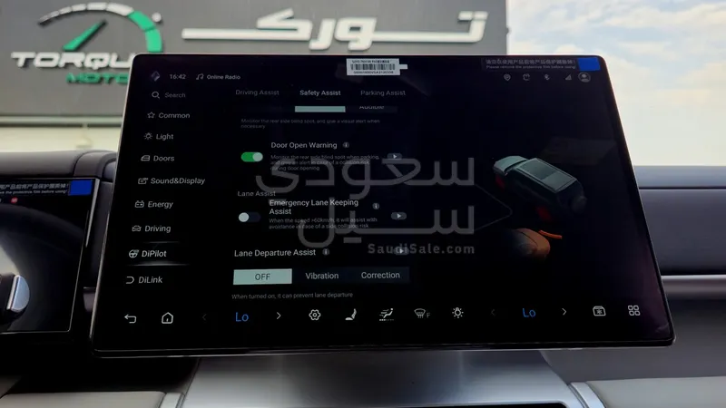 2025 بي واي دي اس 7