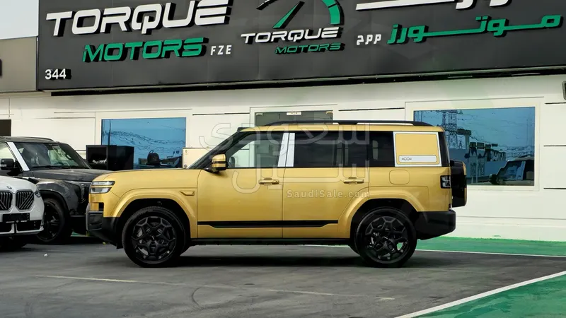 2025 بي واي دي اس 7