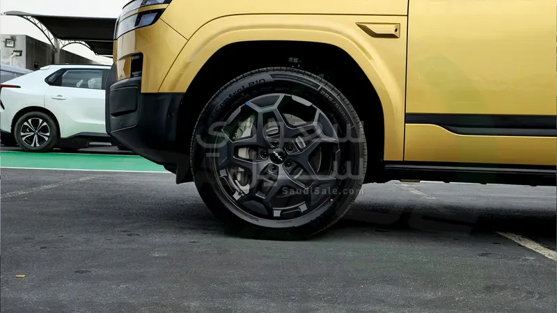 2025 بي واي دي اس 7