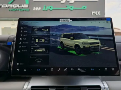 2025 بي واي دي اس 7