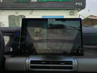 2025 بي واي دي اس 7