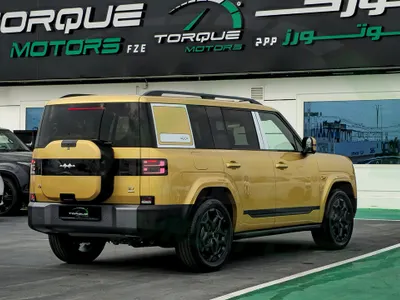 2025 بي واي دي اس 7