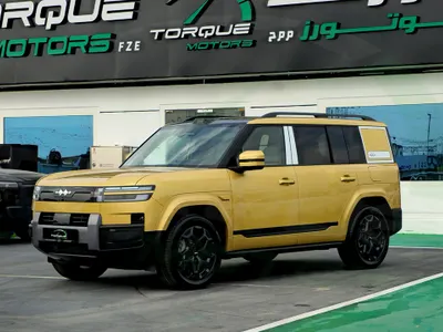 2025 بي واي دي اس 7