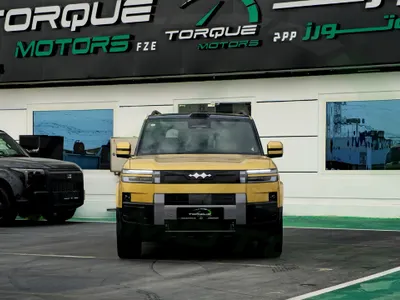 2025 بي واي دي اس 7