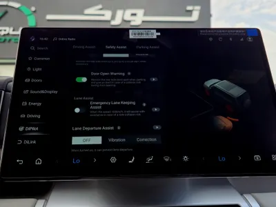 2025 بي واي دي اس 7