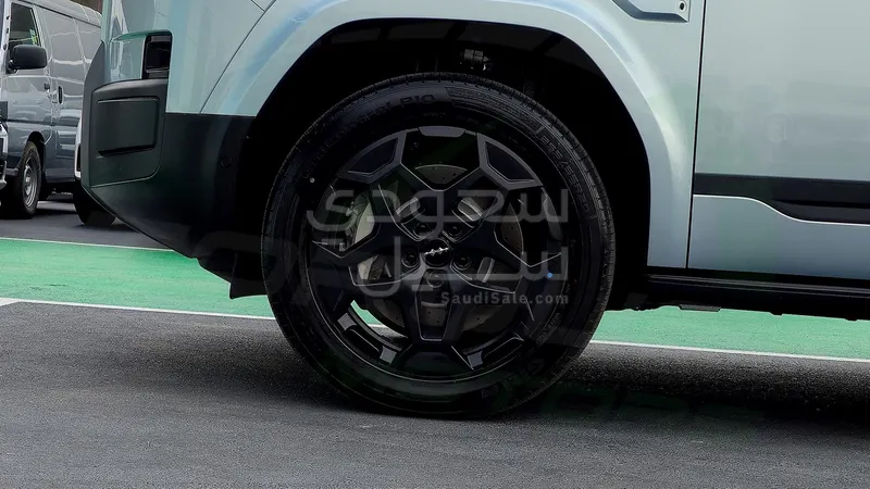 2025 بي واي دي اس 7