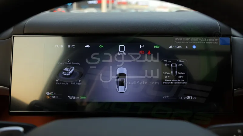 2025 بي واي دي اس 7