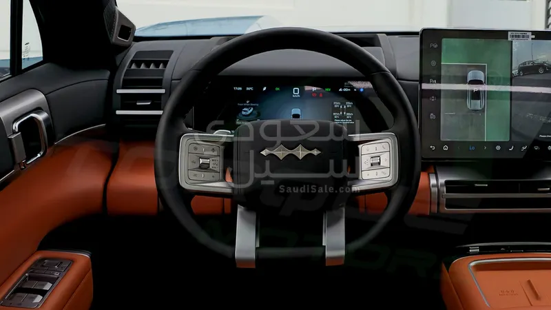 2025 بي واي دي اس 7