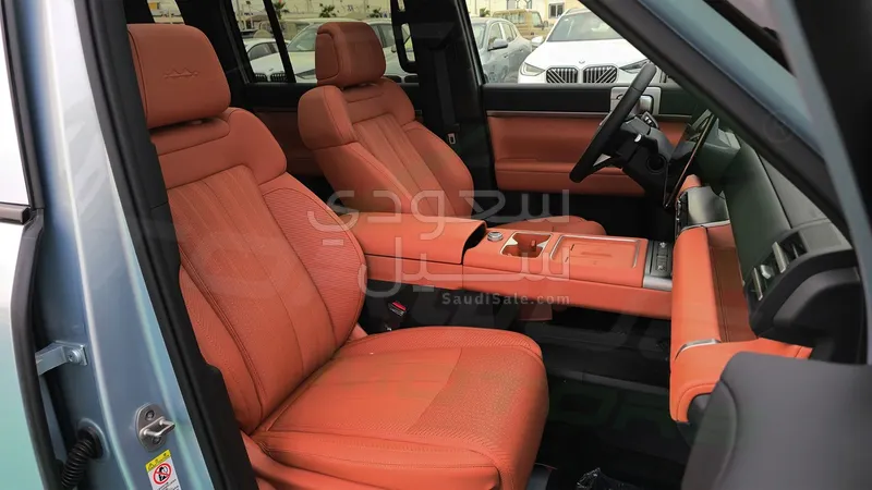 2025 بي واي دي اس 7