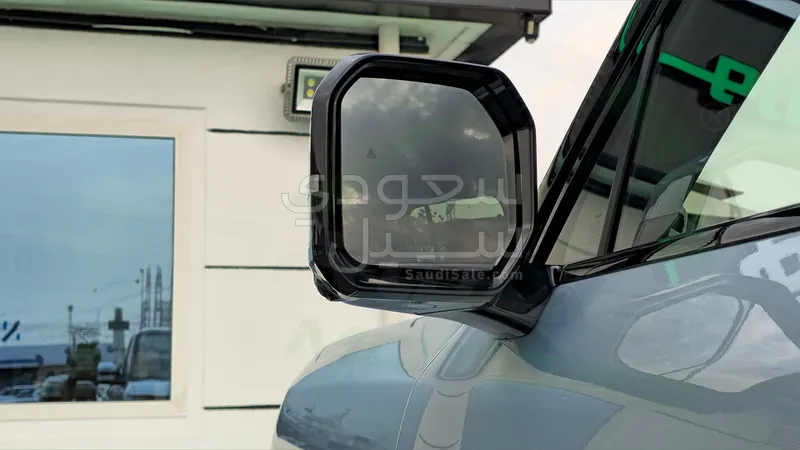 2025 بي واي دي اس 7