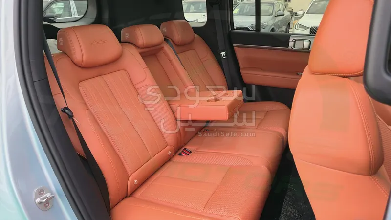 2025 بي واي دي اس 7