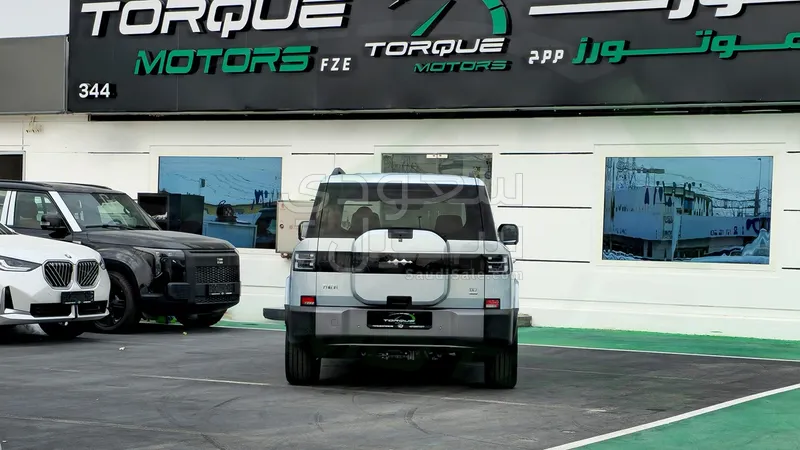 2025 بي واي دي اس 7