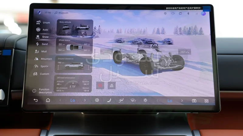 2025 بي واي دي اس 7