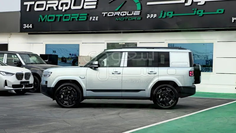 2025 بي واي دي اس 7