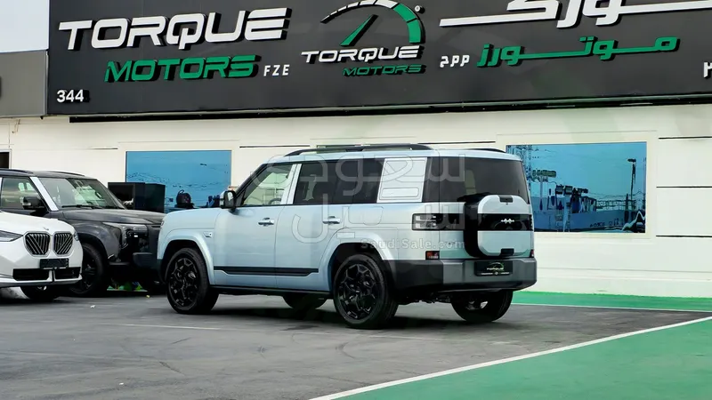 2025 بي واي دي اس 7