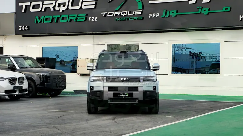 2025 بي واي دي اس 7