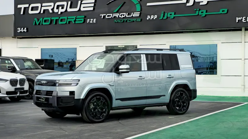 2025 بي واي دي اس 7