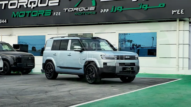 2025 بي واي دي اس 7