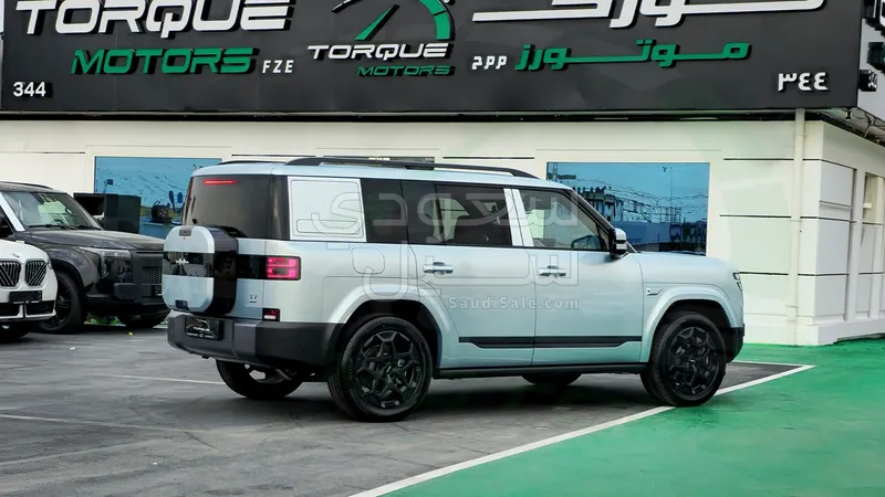 2025 بي واي دي اس 7