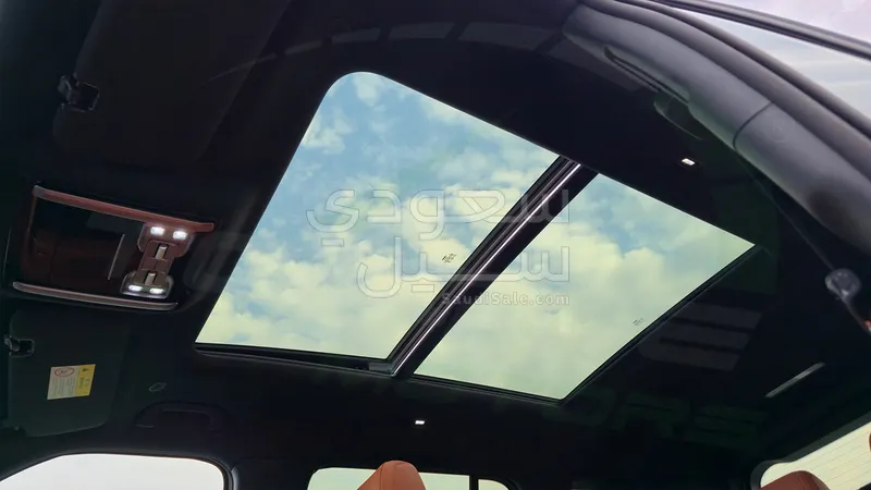 2025 بي واي دي اس 7