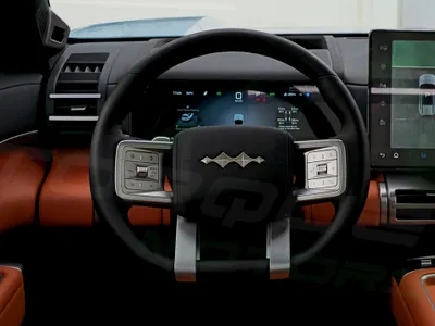 2025 بي واي دي اس 7