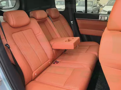 2025 بي واي دي اس 7