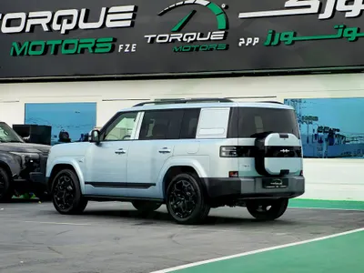 2025 بي واي دي اس 7